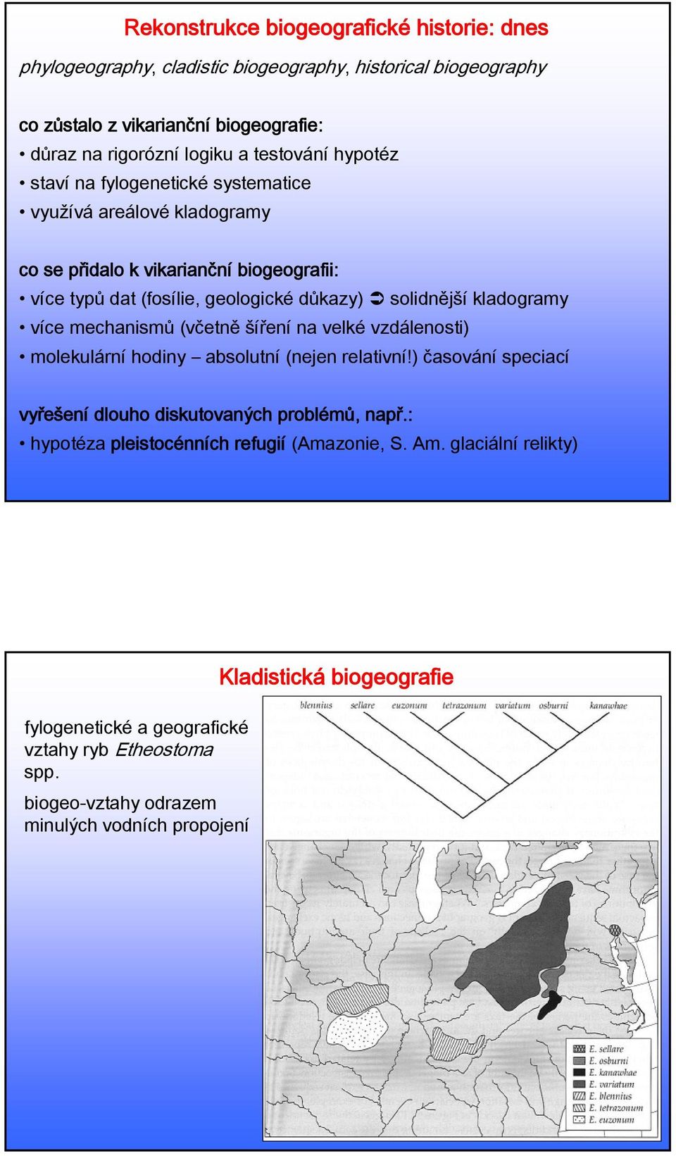 kladogramy více mechanismů (včetně šíření na velké vzdálenosti) molekulární hodiny absolutní (nejen relativní!) časování speciací vyřešení dlouho diskutovaných problémů, např.