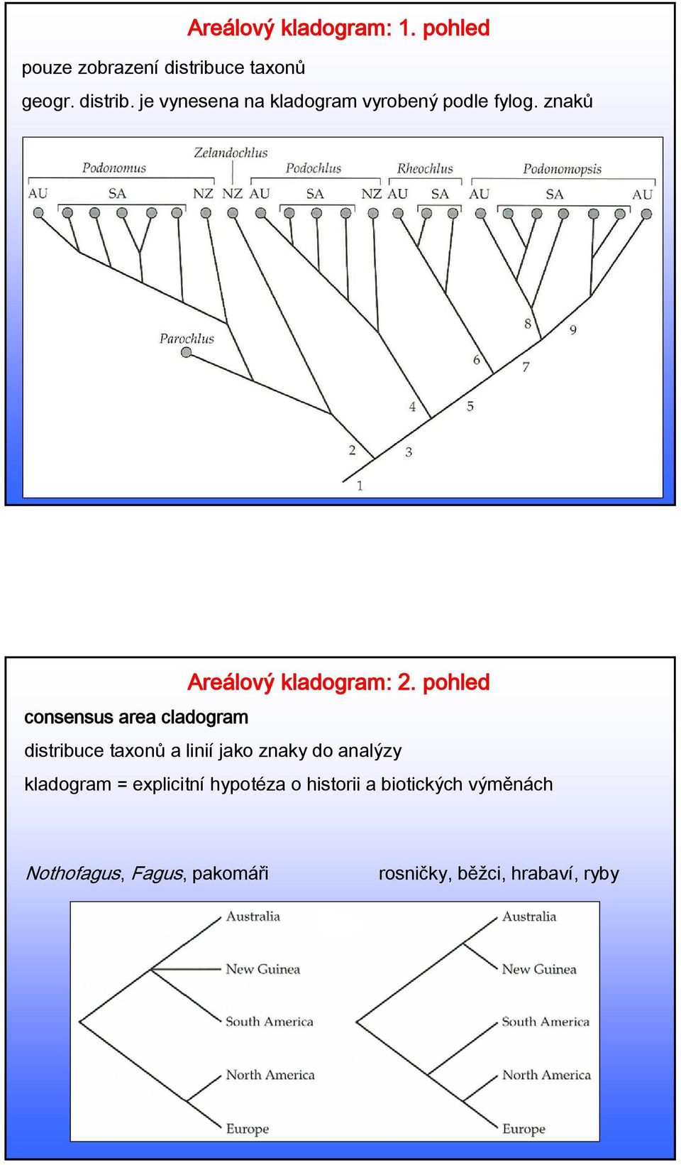 znaků Areálový kladogram: 2.