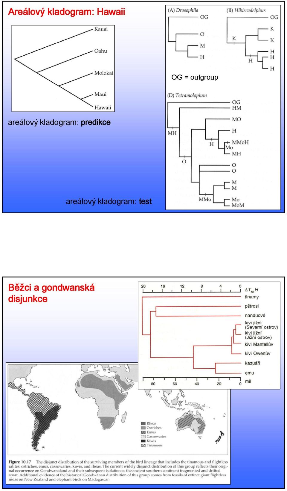 predikce areálový kladogram: