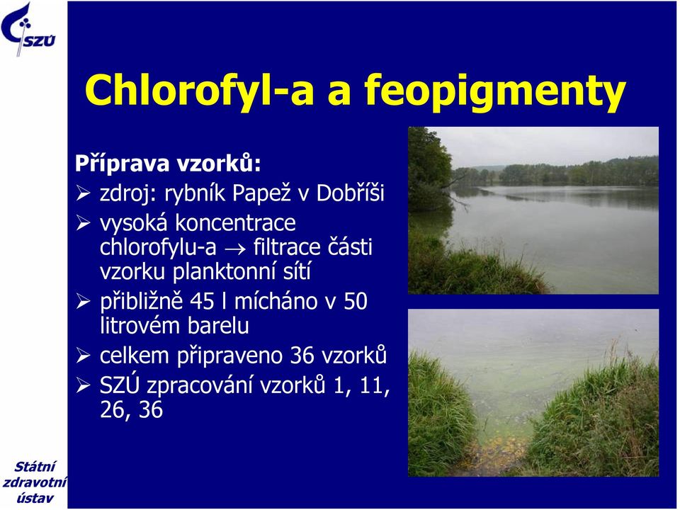 části vzorku planktonní sítí přibližně 5 l mícháno v 5