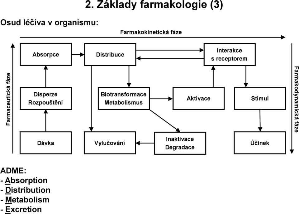 Distribuce Interakce s receptorem Disperze Rozpouštění Biotransformace