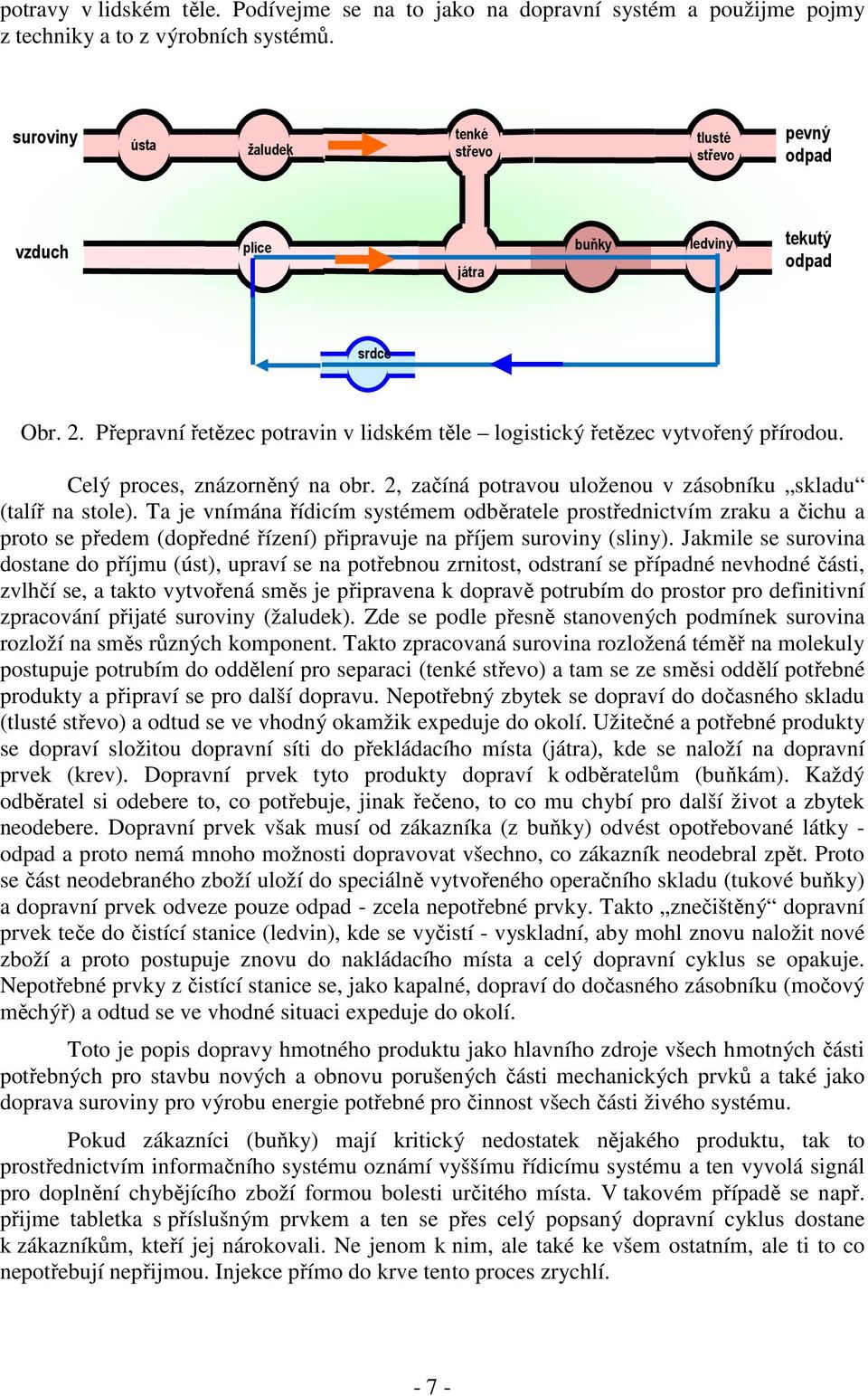 Přepravní řetězec potravin v lidském těle logistický řetězec vytvořený přírodou. Celý proces, znázorněný na obr. 2, začíná potravou uloženou v zásobníku skladu (talíř na stole).