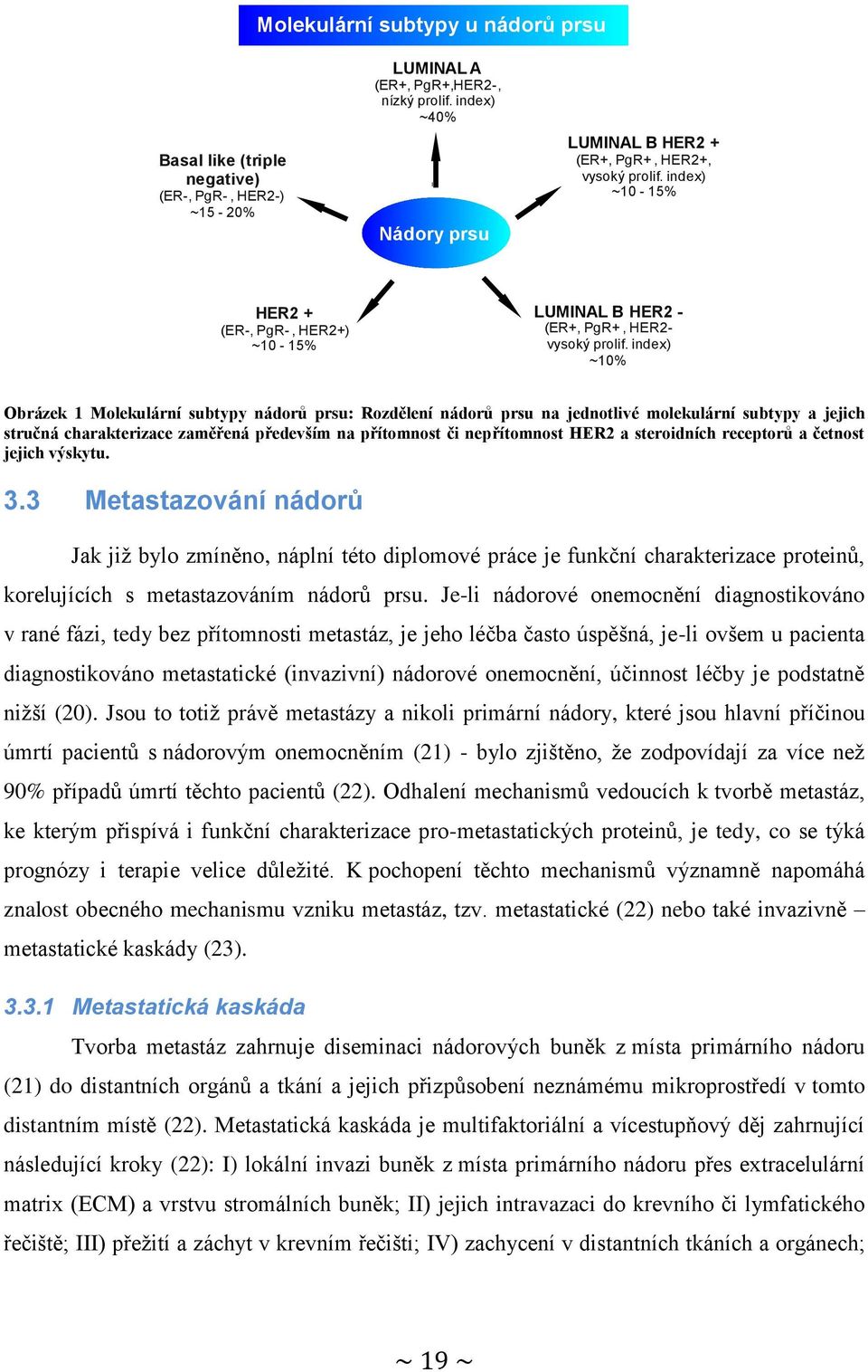 index) ~10% Obrázek 1 Molekulární subtypy nádorů prsu: Rozdělení nádorů prsu na jednotlivé molekulární subtypy a jejich stručná charakterizace zaměřená především na přítomnost či nepřítomnost HER2 a