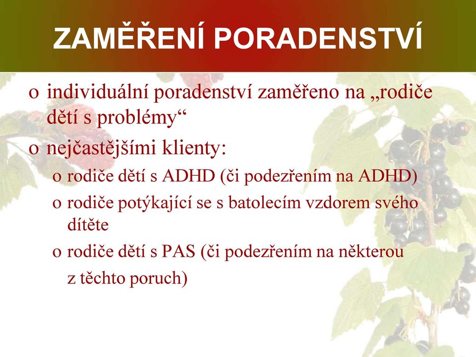 podezřením na ADHD) o rodiče potýkající se s batolecím vzdorem