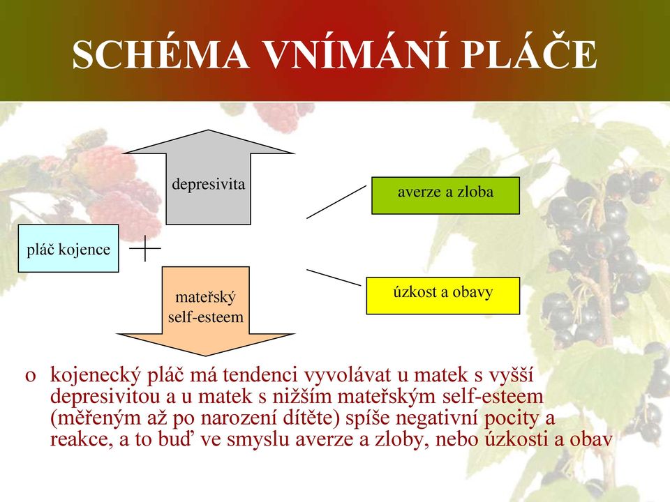 depresivitou a u matek s nižším mateřským self-esteem (měřeným až po narození