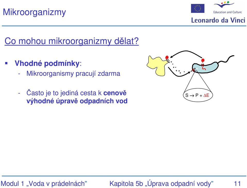 je to jediná cesta k cenově výhodné úpravě odpadních vod