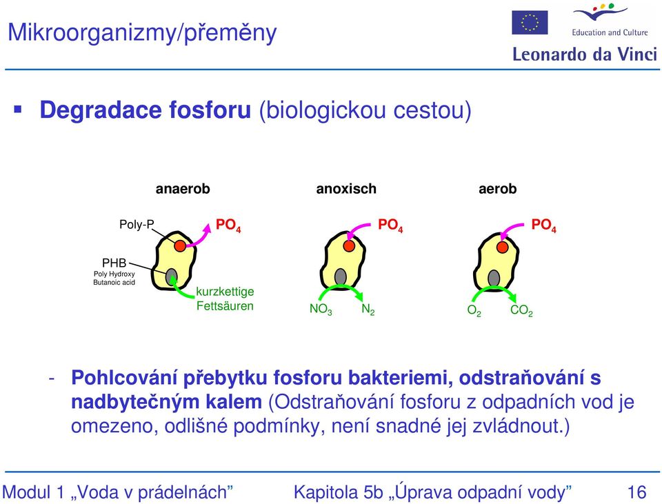 fosforu bakteriemi, odstraňování s nadbytečným kalem (Odstraňování fosforu z odpadních vod je omezeno,