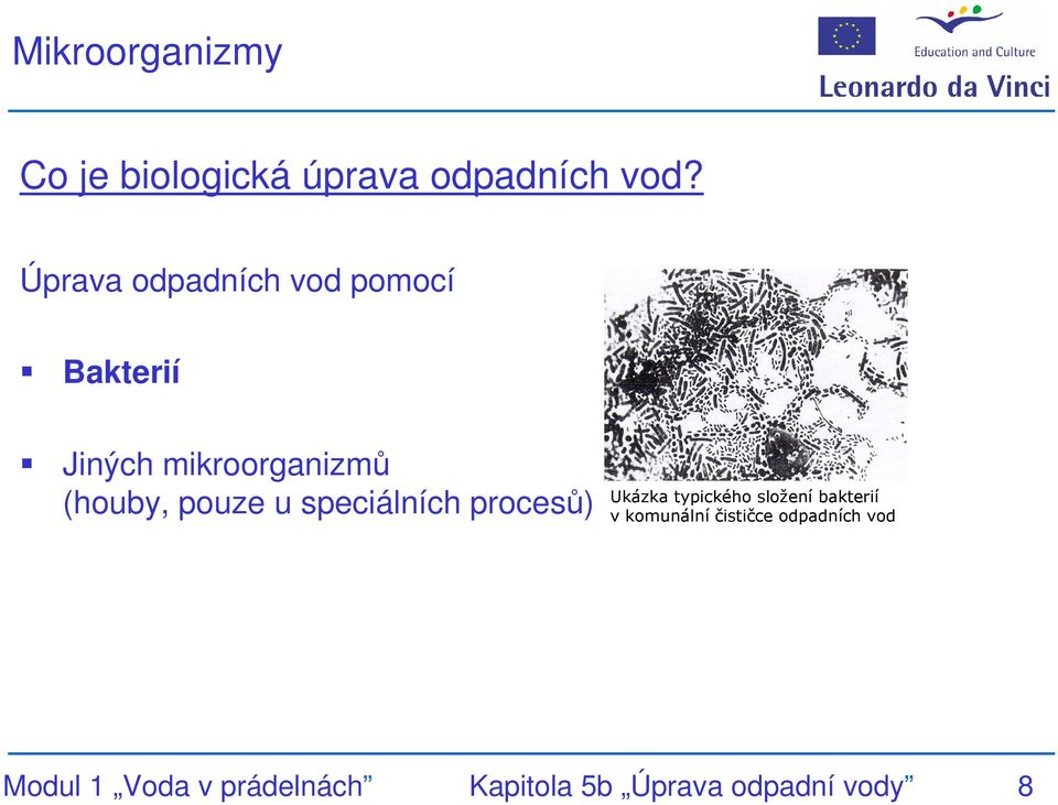 pouze u speciálních procesů) Ukázka typického složení bakterií v