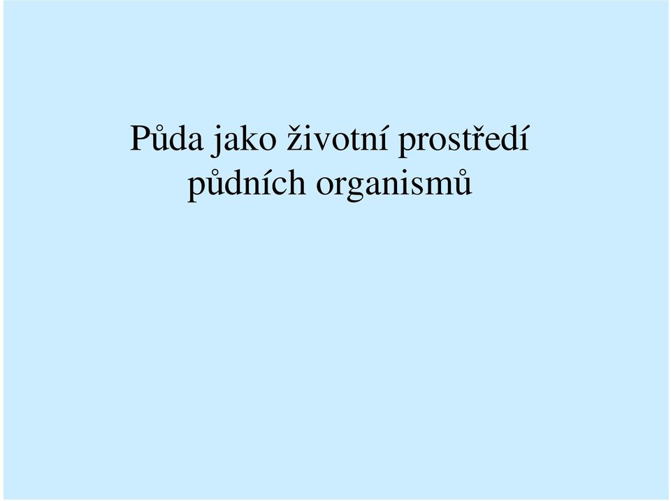 prostředí