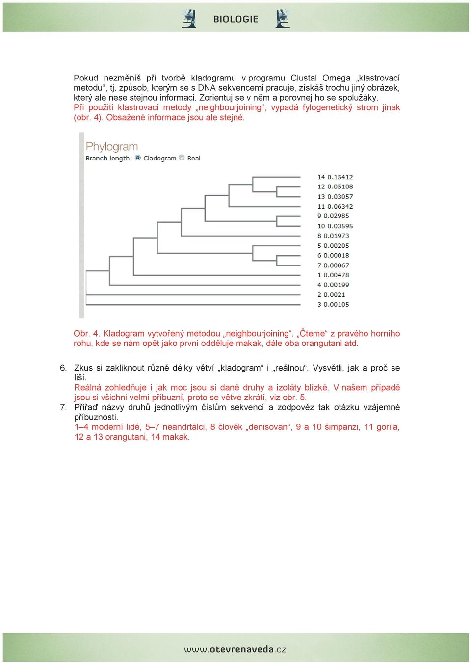 Čteme z pravého horního rohu, kde se nám opět jako první odděluje makak, dále oba orangutani atd. 6. Zkus si zakliknout různé délky větví kladogram i reálnou. Vysvětli, jak a proč se liší.