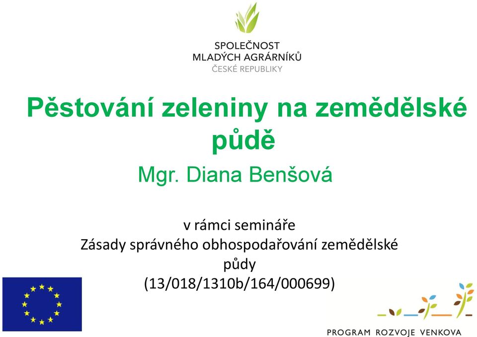 Diana Benšová v rámci semináře