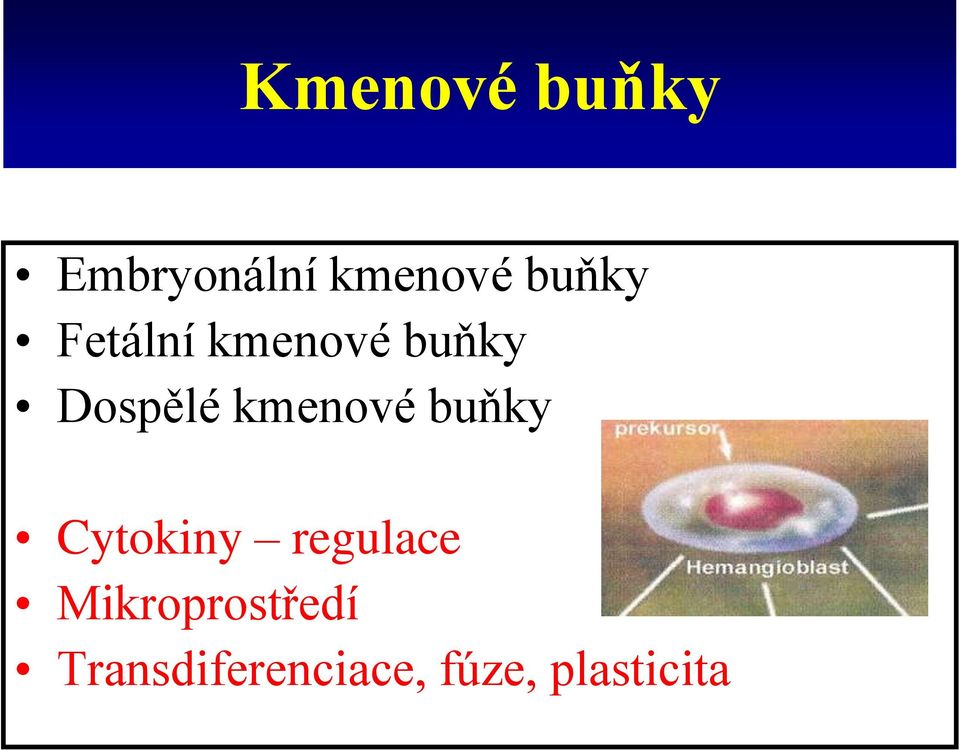 kmenové buňky Cytokiny regulace