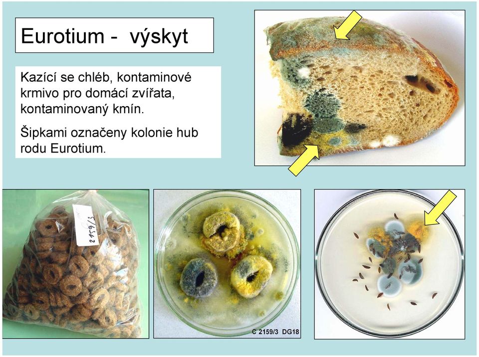 zvířata, kontaminovaný kmín.