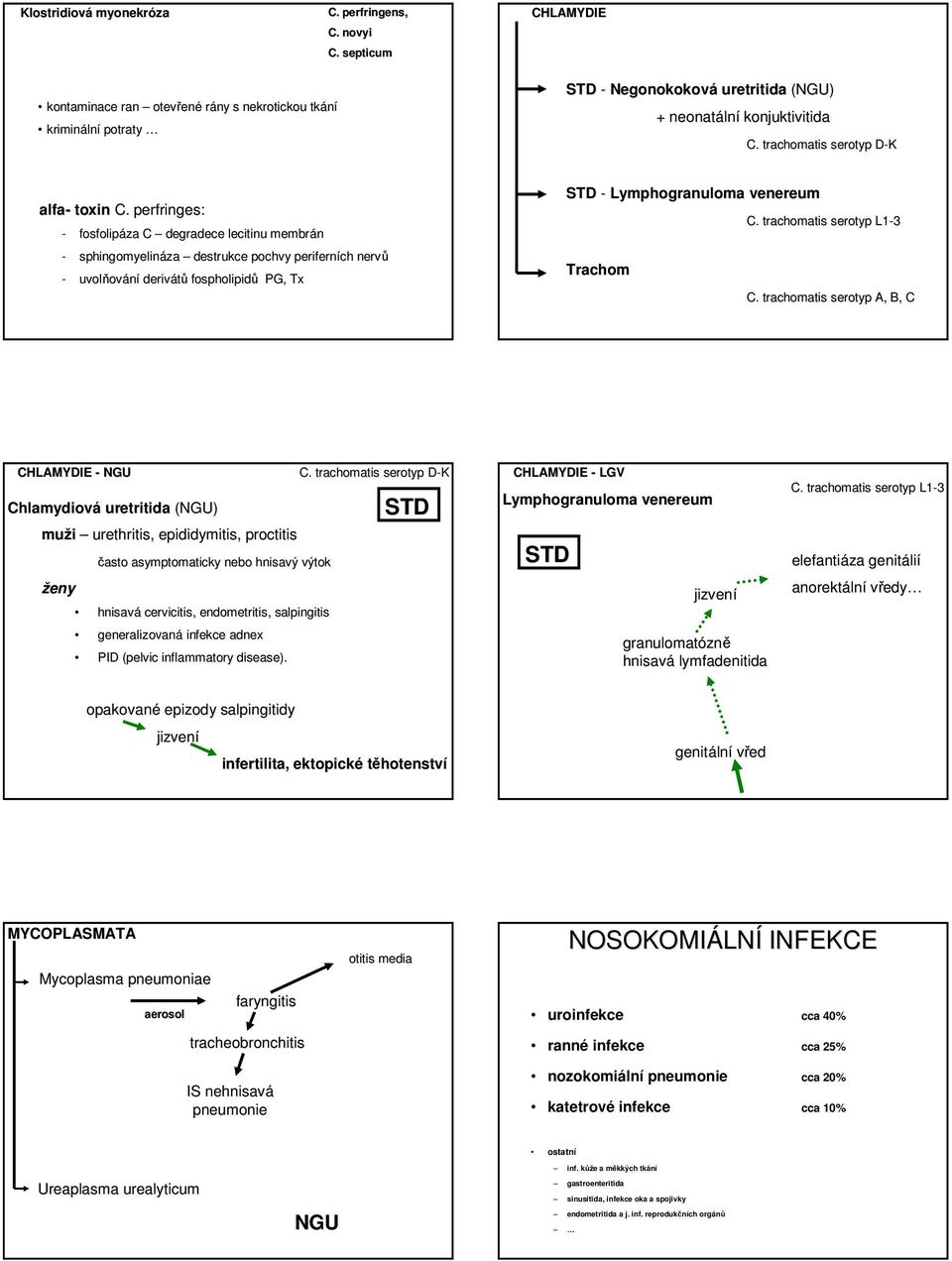 perfringes: - fosfolipáza C degradece lecitinu membrán - sphingomyelináza destrukce pochvy periferních nervů - uvolňov ování derivátů fospholipidů PG, Tx STD - Lymphogranuloma venereum Trachom C.