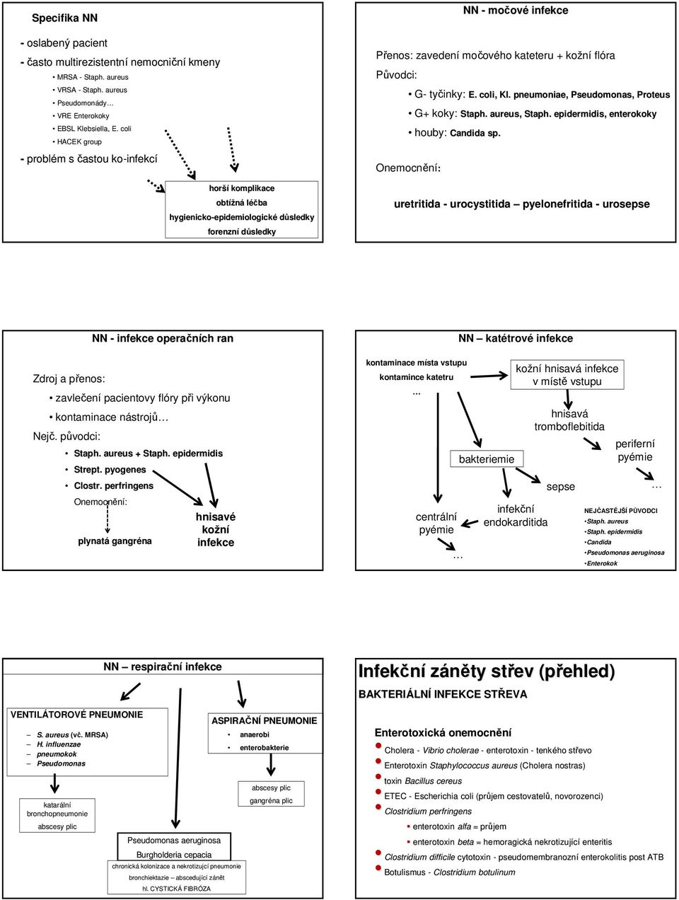 flóra Původci: G- tyčinky: E. coli,, Kl. pneumoniae, Pseudomonas, Proteus G+ koky: Staph. aureus, Staph. epidermidis, enterokoky houby: Candida sp.