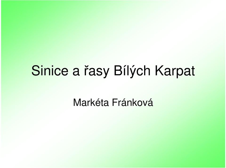 Bílých