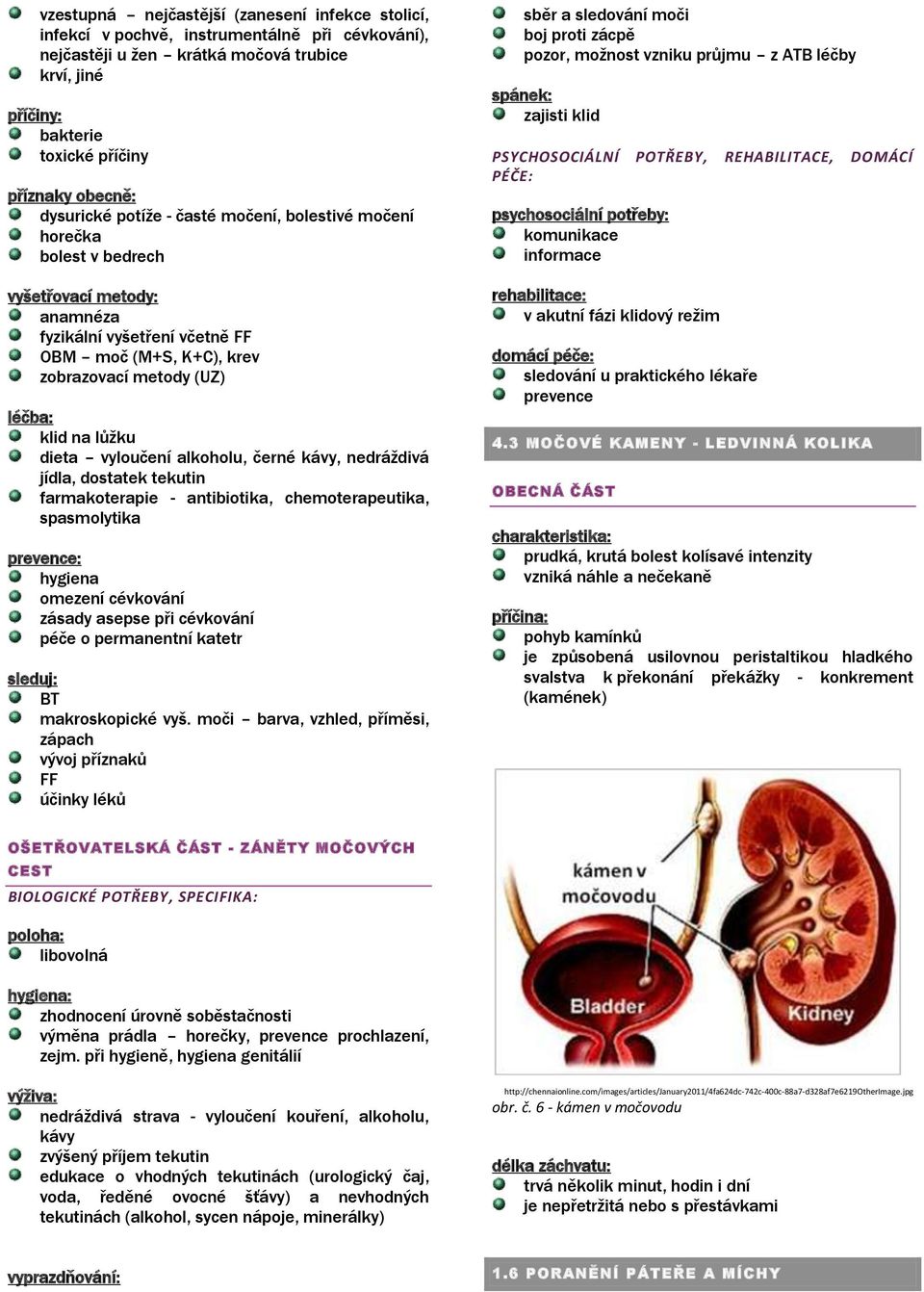 lůžku dieta vyloučení alkoholu, černé kávy, nedráždivá jídla, dostatek tekutin farmakoterapie - antibiotika, chemoterapeutika, spasmolytika prevence: hygiena omezení cévkování zásady asepse při