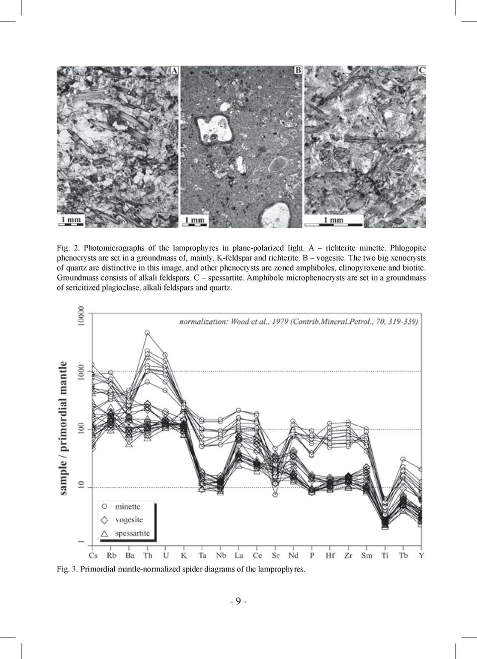 The two big xenocrysts of quartz are distinctive in this image, and other phenocrysts are zoned amphiboles, clinopyroxene and biotite.