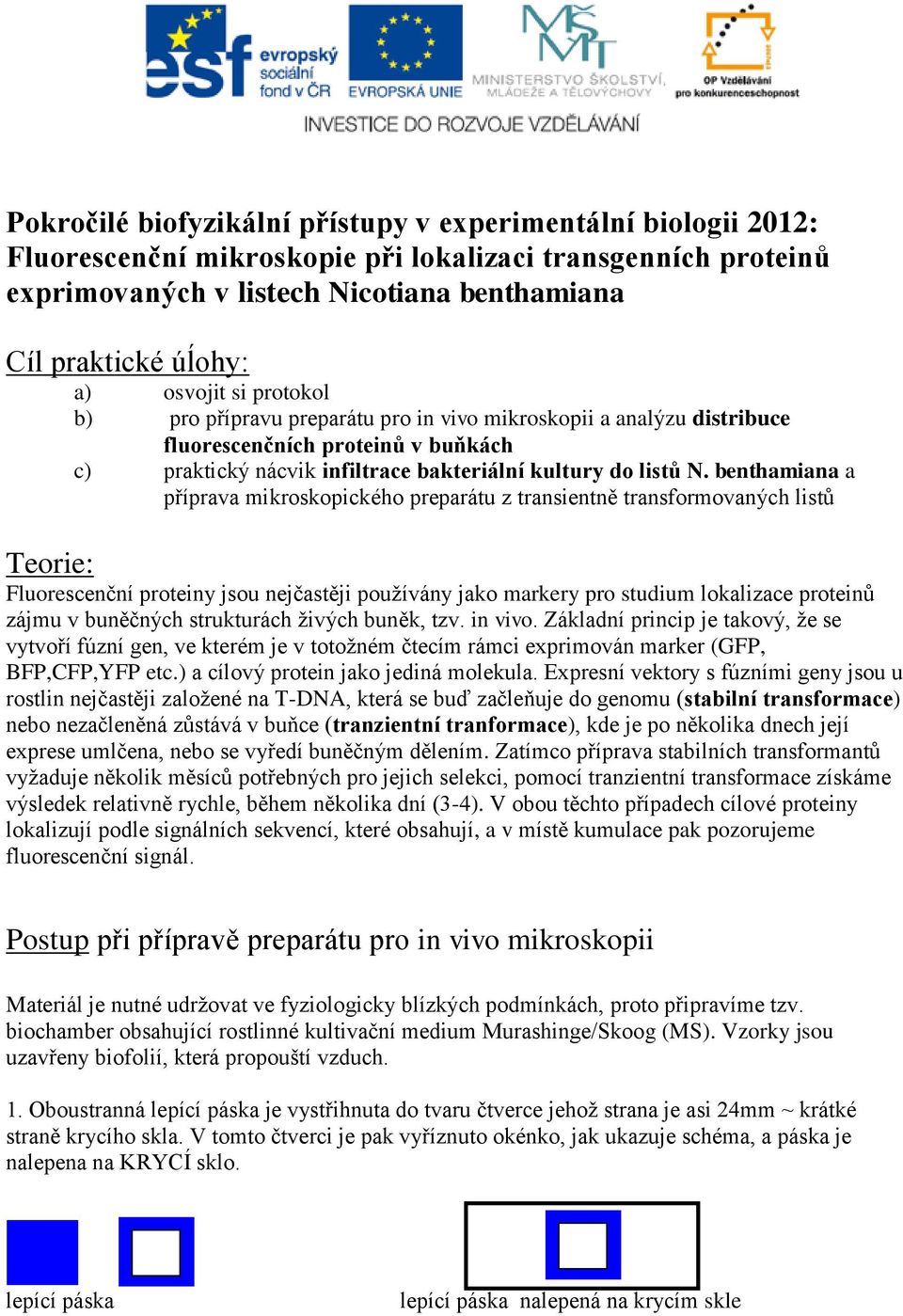 benthamiana a příprava mikroskopického preparátu z transientně transformovaných listů Teorie: Fluorescenční proteiny jsou nejčastěji používány jako markery pro studium lokalizace proteinů zájmu v