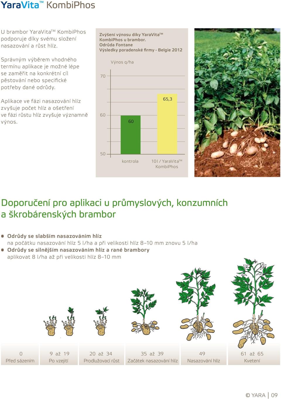 70 Výnos q/ha Aplikace ve fázi nasazování hlíz zvyšuje počet hlíz a ošetření ve fázi růstu hlíz zvyšuje významně výnos.