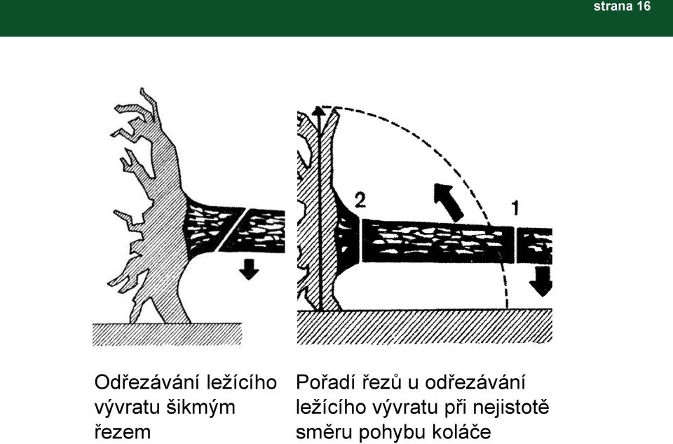 řezů u odřezávání ležícího