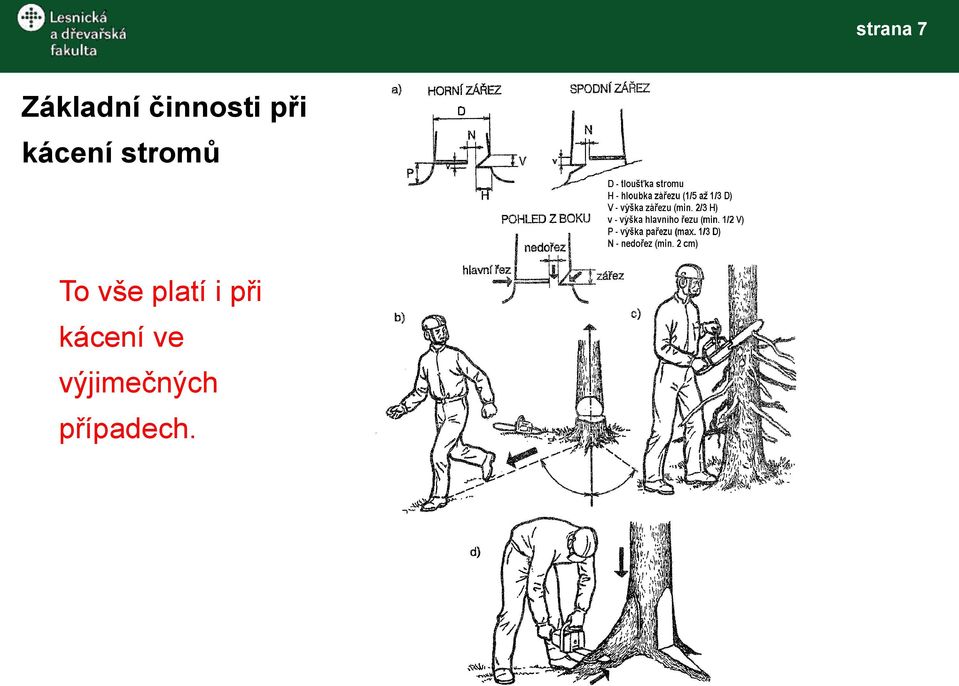 stromů To vše platí i