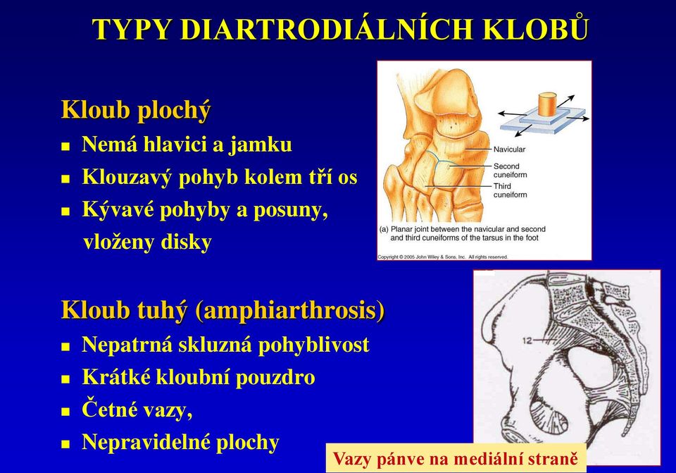 vloženy disky Kloub tuhý (amphiarthrosis) Nepatrná skluzná pohyblivost