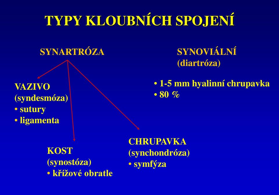 křížové obratle CHRUPAVKA (synchondróza)