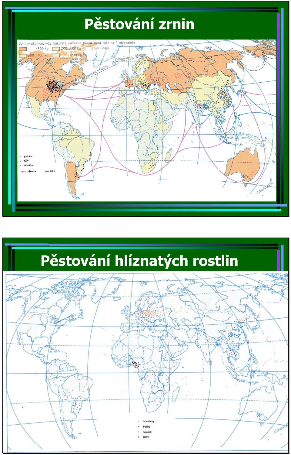 hlíznatých