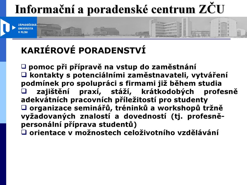 adekvátních pracovních příležitostí pro studenty organizace seminářů, tréninků a workshopů tržně