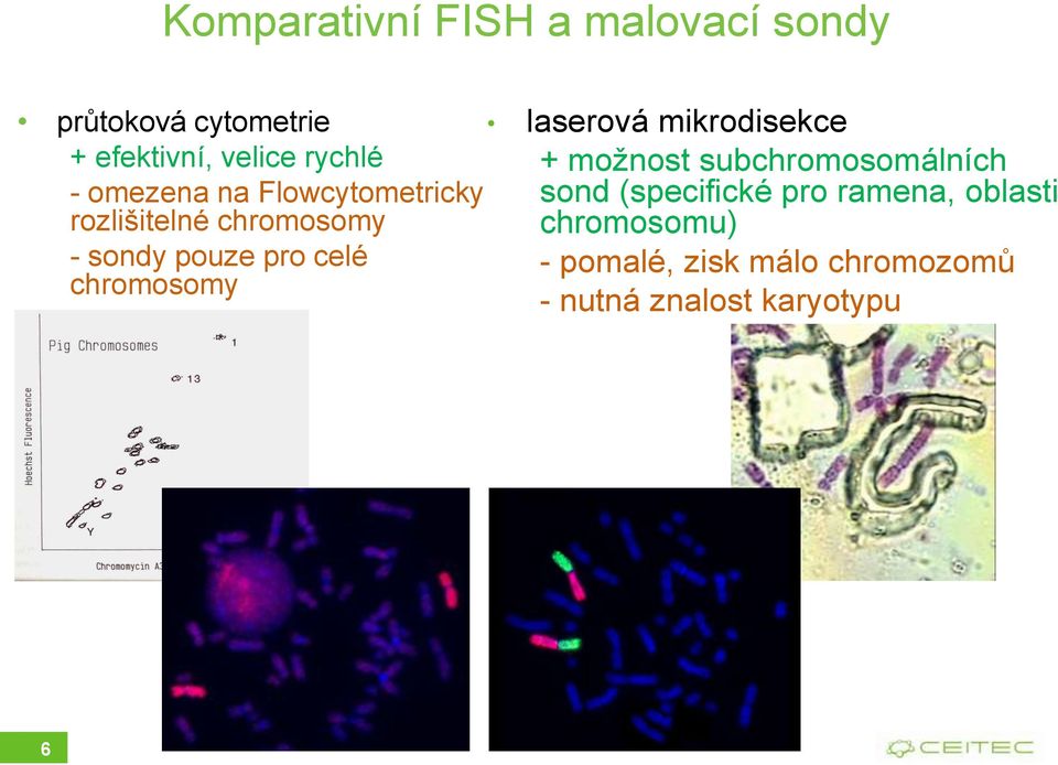Flowcytometricky sond (specifické pro ramena, oblasti rozlišitelné chromosomy