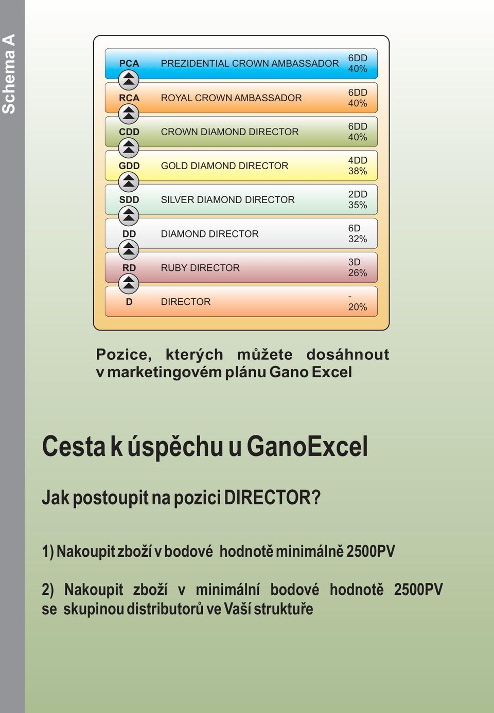 Pozice, kterých můžete dosáhnout v marketingovém plánu Gano Excel Cesta k úspěchu u GanoExcel Jak postoupit na pozici DIRECTOR?