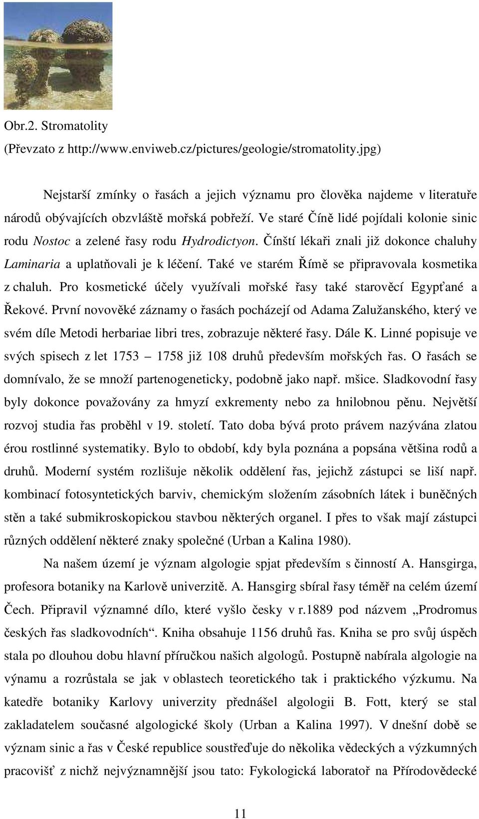 Ve staré Číně lidé pojídali kolonie sinic rodu Nostoc a zelené řasy rodu Hydrodictyon. Čínští lékaři znali již dokonce chaluhy Laminaria a uplatňovali je k léčení.