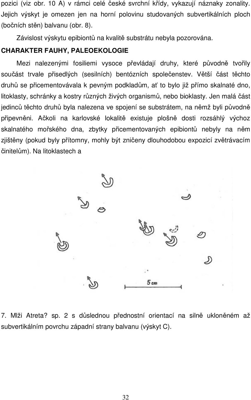 CHARAKTER FAUHY, PALEOEKOLOGIE Mezi nalezenými fosiliemi vysoce převládají druhy, které původně tvořily součást trvale přisedlých (sesilních) bentózních společenstev.