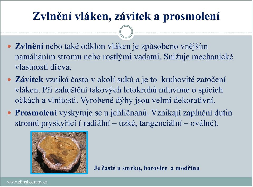 Při zahuštění takových letokruhů mluvíme o spících očkách a vlnitosti. Vyrobené dýhy jsou velmi dekorativní.