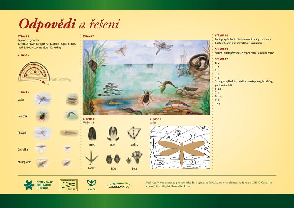 rejsec vodní, 3: čolek obecný STRANA 12 Kvíz 1. a 2. b 3. c 4. b 5. ryby, obojživelníci, pulci žab, znakoplavky, bruslařky, potápníci a další 6. a, b 7. b 8. b, c 9. b 10.