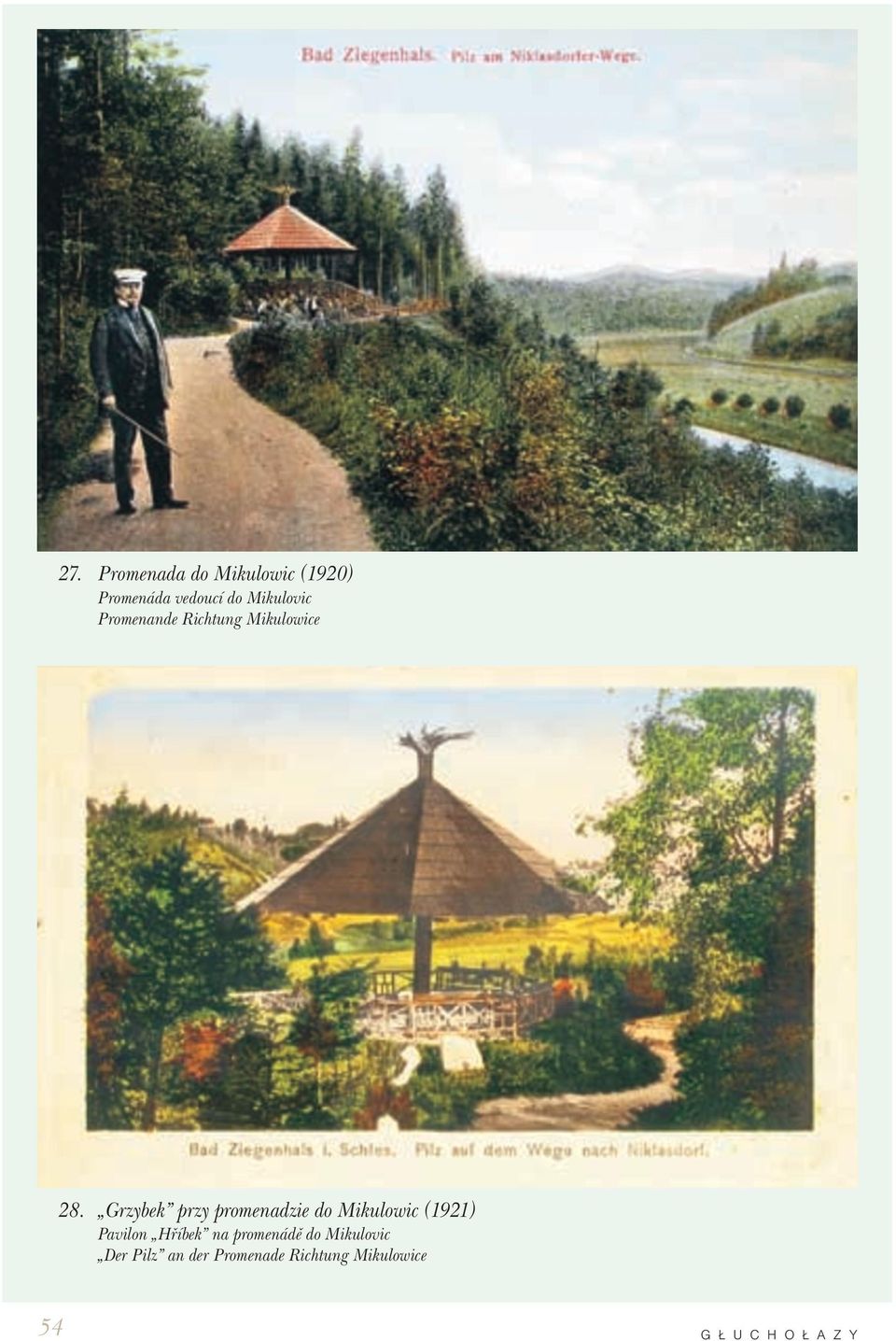 Grzybek przy promenadzie do Mikulowic (1921) Pavilon Hříbek na