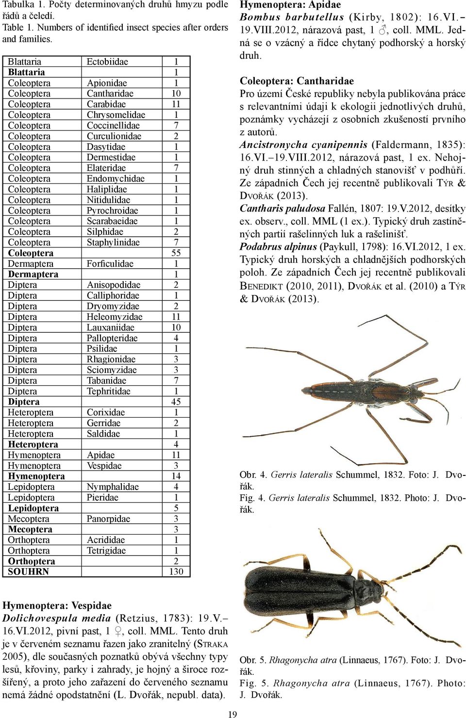 Dasytidae 1 Coleoptera Dermestidae 1 Coleoptera Elateridae 7 Coleoptera Endomychidae 1 Coleoptera Haliplidae 1 Coleoptera Nitidulidae 1 Coleoptera Pyrochroidae 1 Coleoptera Scarabaeidae 1 Coleoptera