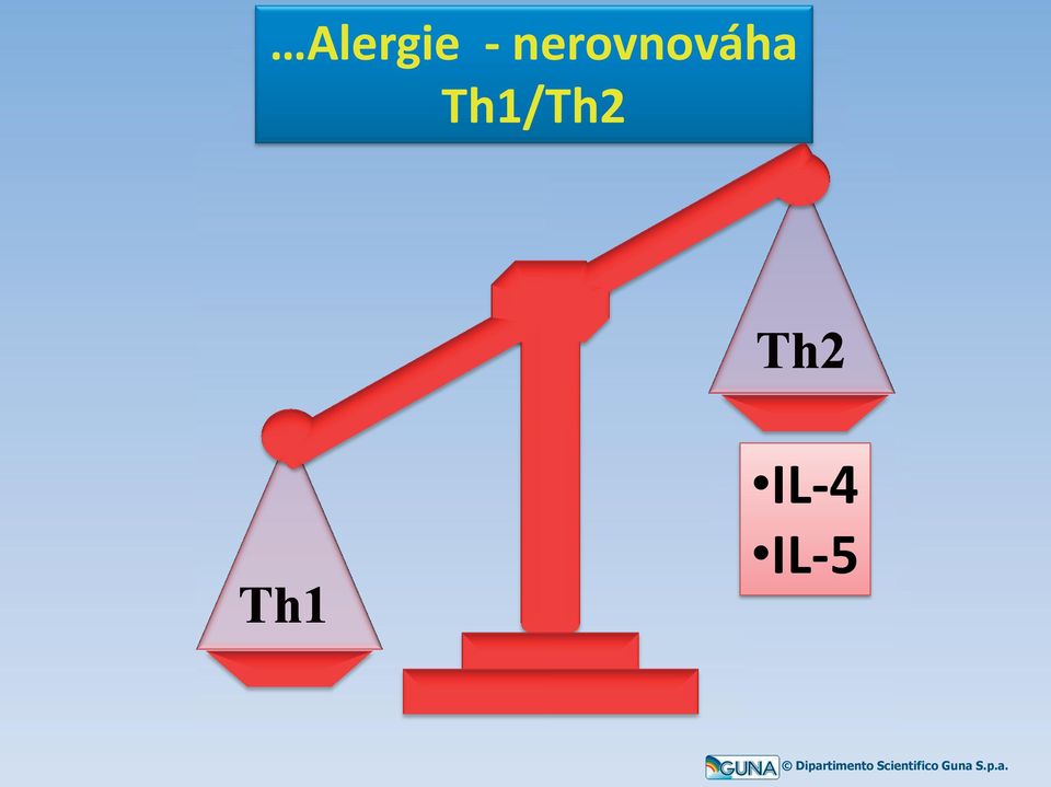 Th1/Th2 Th2