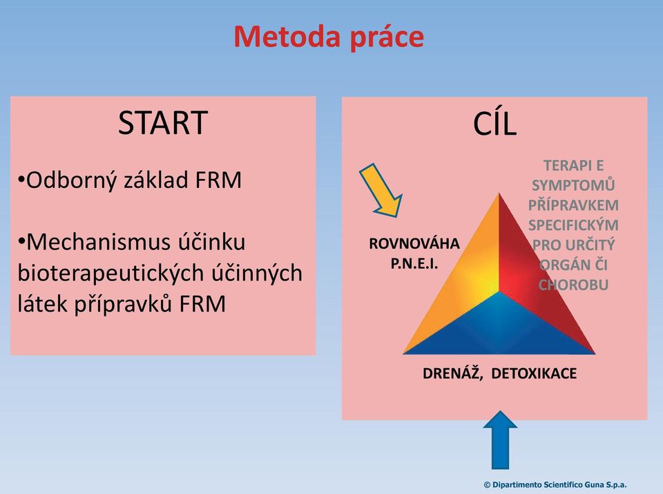 ROVNOVÁHA P.N.E.I.