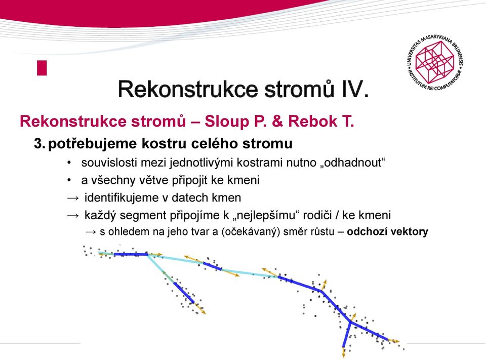 odhadnout a všechny větve připojit ke kmeni identifikujeme v datech kmen každý