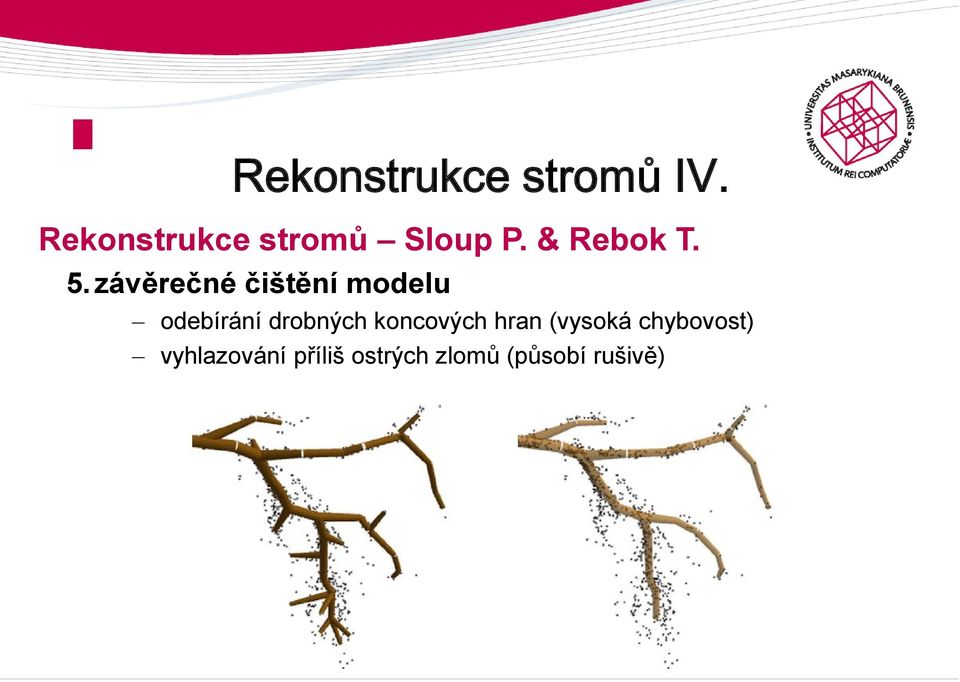 závěrečné čištění modelu odebírání drobných