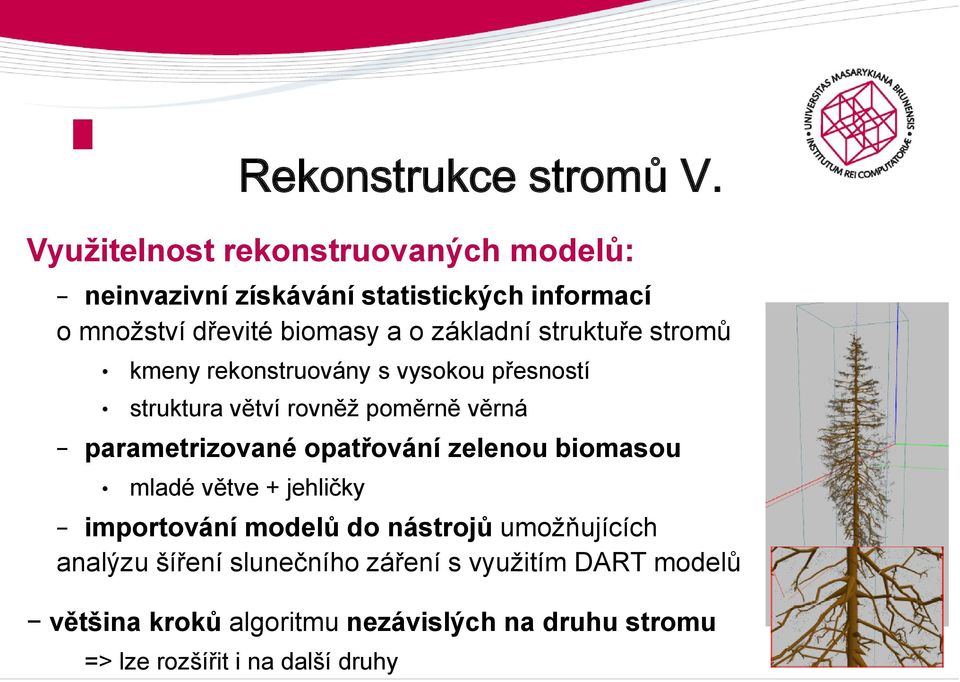 struktuře stromů kmeny rekonstruovány s vysokou přesností struktura větví rovněž poměrně věrná parametrizované opatřování