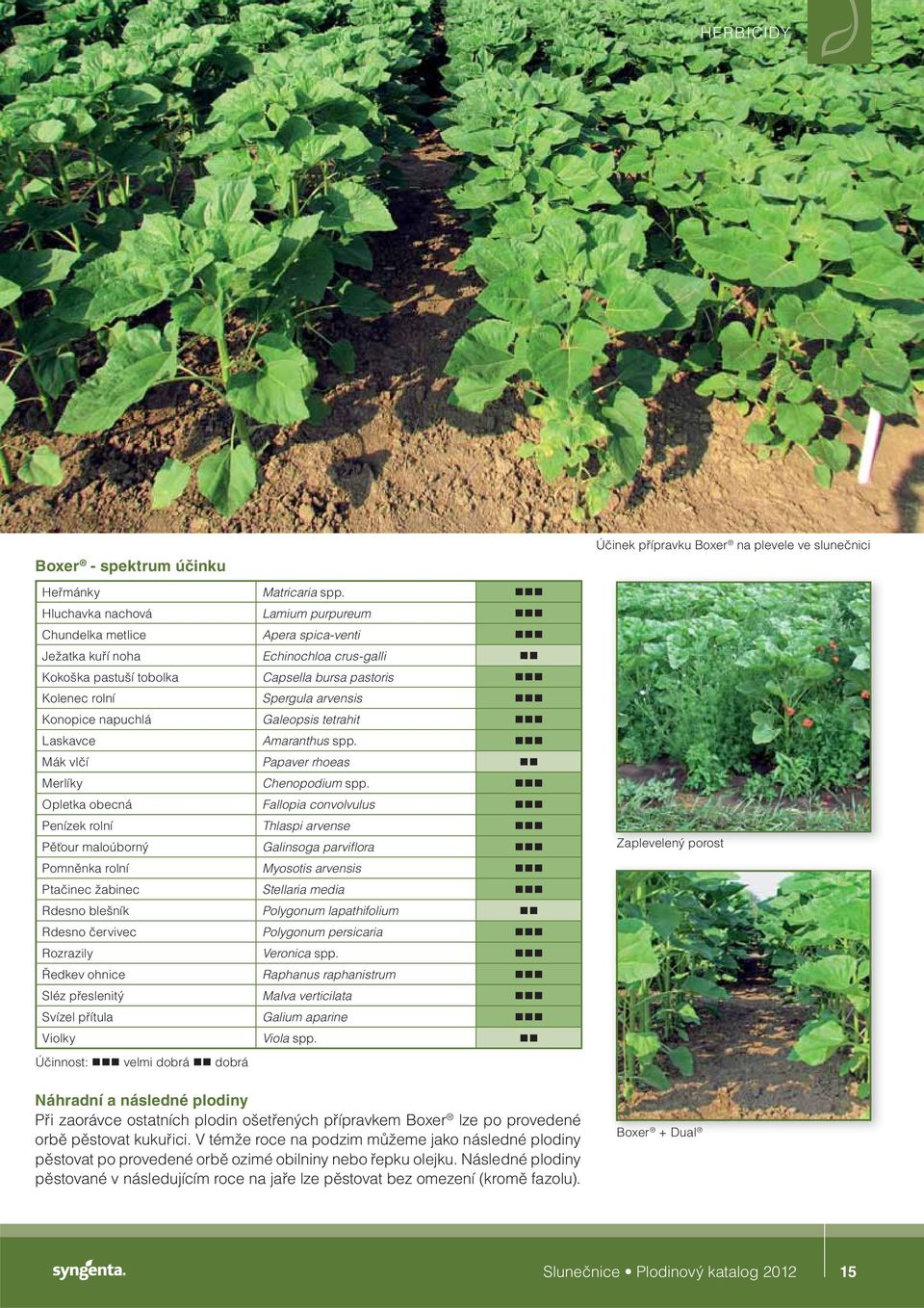 Konopice napuchlá Galeopsis tetrahit Laskavce Amaranthus spp. Mák vlčí Papaver rhoeas Merlíky Chenopodium spp.