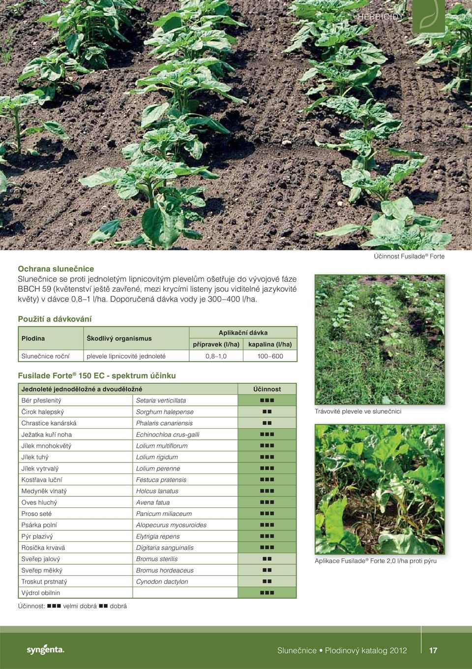 Účinnost Fusilade Forte Použití a dávkování Aplikační dávka Plodina Škodlivý organismus přípravek (l/ha) kapalina (l/ha) Slunečnice roční plevele lipnicovité jednoleté 0,8 1,0 100 600 Fusilade Forte