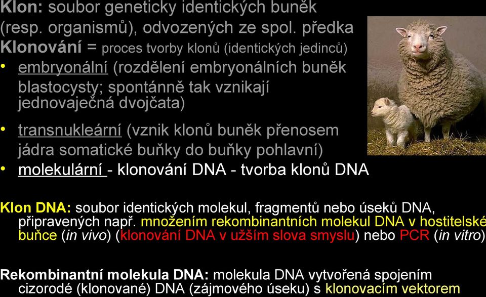 transnukleární (vznik klonů buněk přenosem jádra somatické buňky do buňky pohlavní) molekulární - klonování DNA - tvorba klonů DNA Klon DNA: soubor identických molekul,