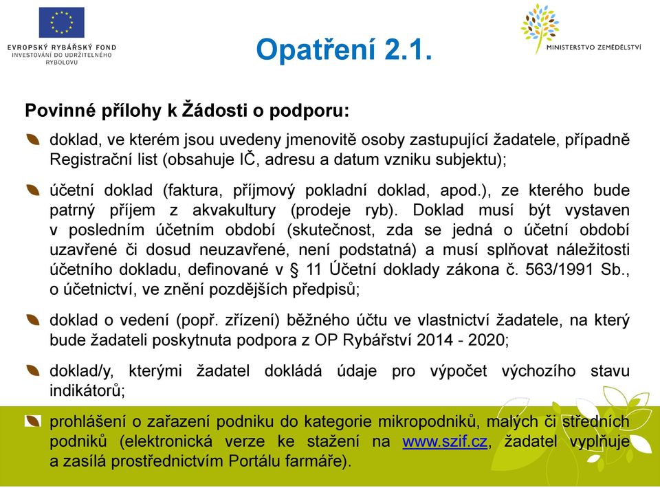 Doklad musí být vystaven v posledním účetním období (skutečnost, zda se jedná o účetní období uzavřené či dosud neuzavřené, není podstatná) a musí splňovat náležitosti účetního dokladu, definované v