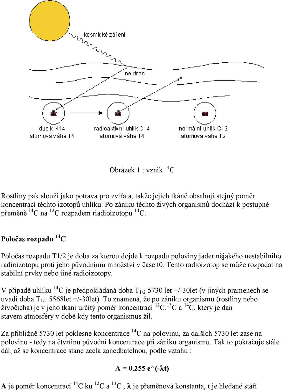 Poločas rozpadu 14 C Poločas rozpadu T1/2 je doba za kterou dojde k rozpadu poloviny jader nějakého nestabilního radioizotopu proti jeho původnímu množství v čase t0.