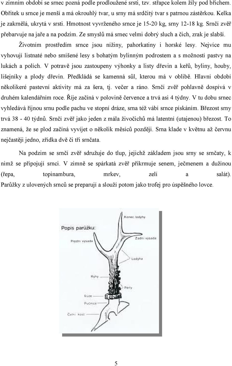 Životním prostředím srnce jsou nížiny, pahorkatiny i horské lesy. Nejvíce mu vyhovují listnaté nebo smíšené lesy s bohatým bylinným podrostem a s možností pastvy na lukách a polích.