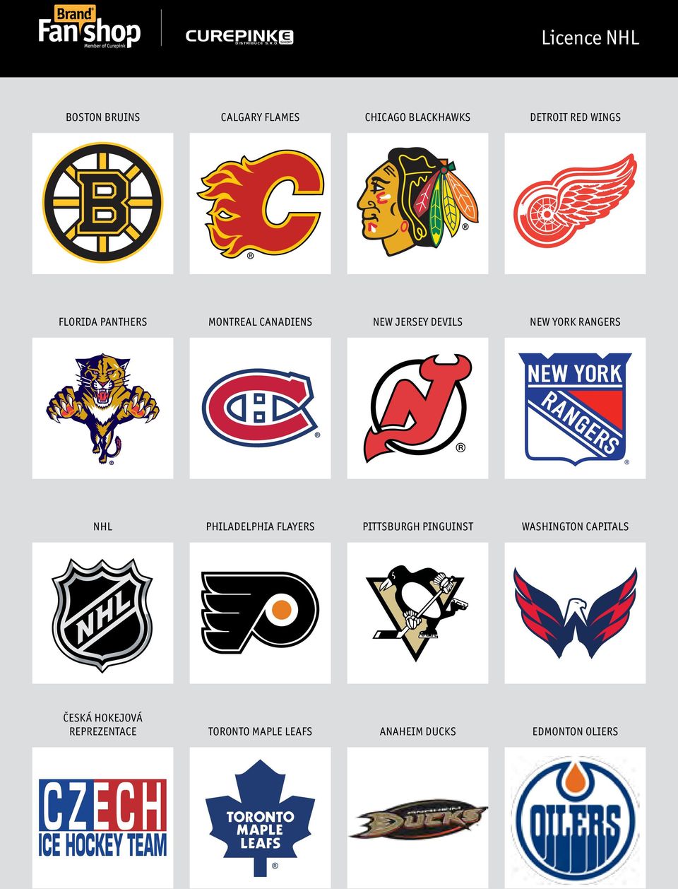 RANGERS NHL PHILADELPHIA FLAYERS PITTSBURGH PINGUINST WASHINGTON